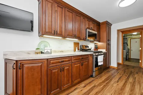 19 Saint Moritz Drive Palos Park IL 60464