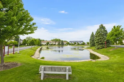 19 Saint Moritz Drive Palos Park IL 60464