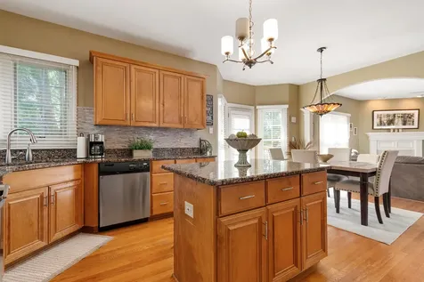 13050 Silver Fox Drive Lemont IL 60439