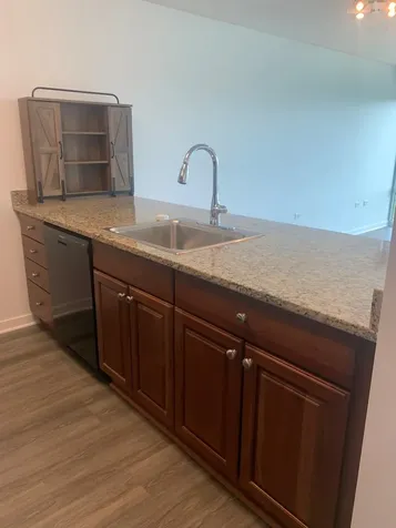 9655 Woods Drive Skokie IL 60077