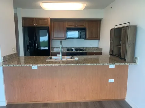 9655 Woods Drive Skokie IL 60077