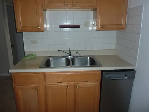 4941 Carol Street Skokie IL 60077