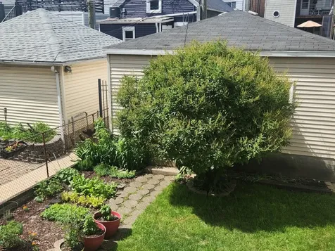 2102 West Barry Avenue Chicago IL 60618