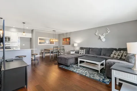 10641 Rachel Lane Orland Park IL 60467
