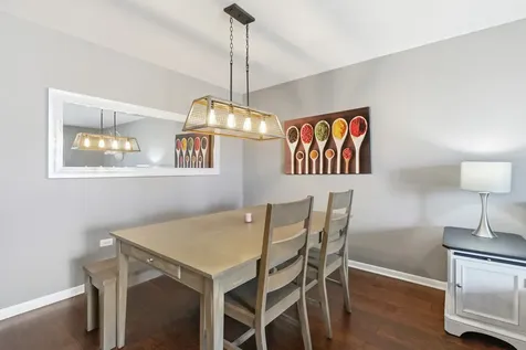 10641 Rachel Lane Orland Park IL 60467