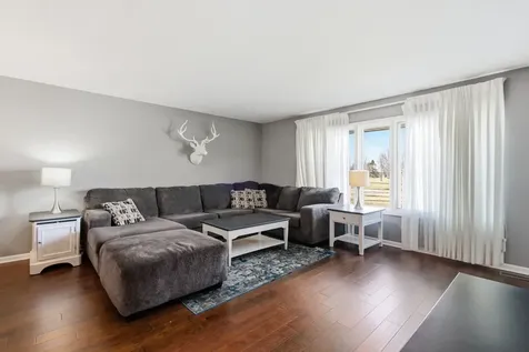 10641 Rachel Lane Orland Park IL 60467