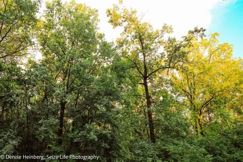 704 Echo (Lot 21) Trail Marengo IL 60152