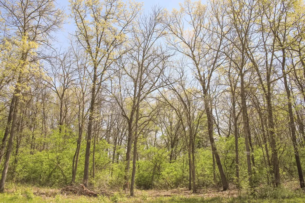 806 Echo (Lot 22) Trail Marengo IL 60152