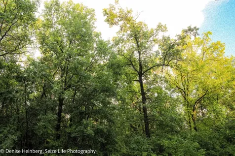 806 Echo (Lot 22) Trail Marengo IL 60152