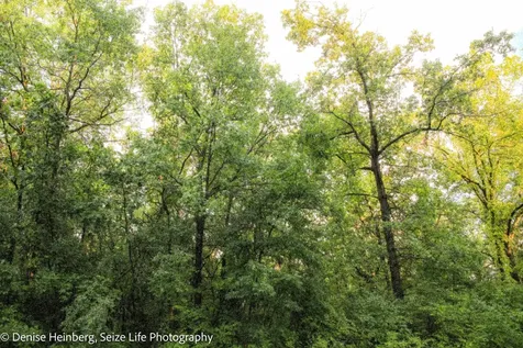 806 Echo (Lot 22) Trail Marengo IL 60152