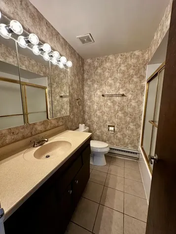 15804 Terrace Drive Oak Forest IL 60452