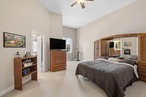 12721 Wild Rye Court Plainfield IL 60585