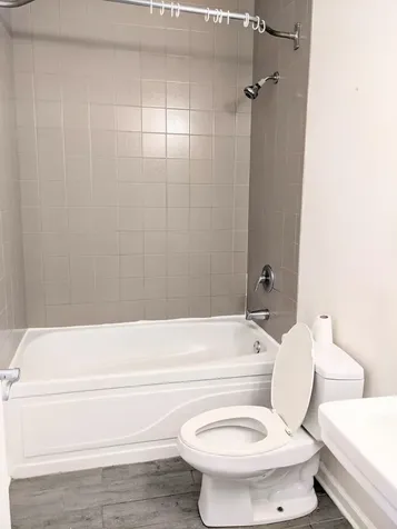 807 West 14th Place Chicago IL 60608