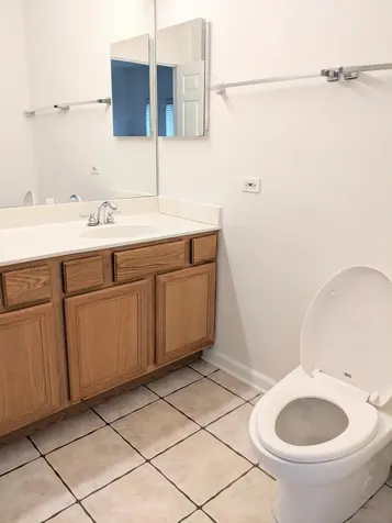 807 West 14th Place Chicago IL 60608