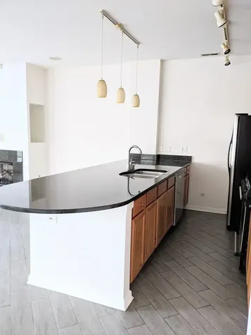 807 West 14th Place Chicago IL 60608