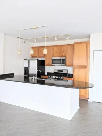 807 West 14th Place Chicago IL 60608