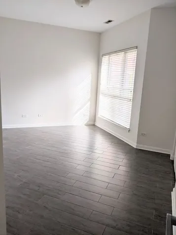 807 West 14th Place Chicago IL 60608