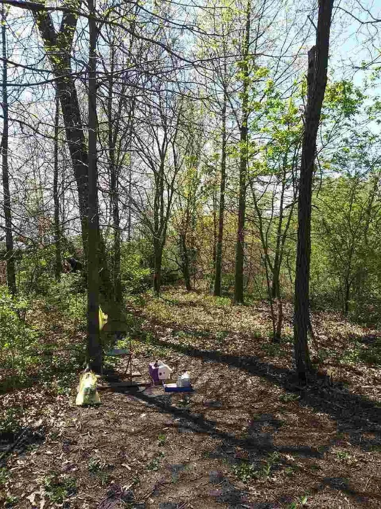 100 4500 Road Pembroke Twp IL 60958