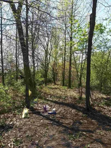 100 4500 Road Pembroke Twp IL 60958