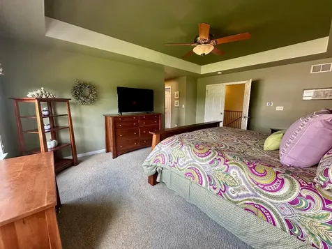 233 Willington Way Oswego IL 60543