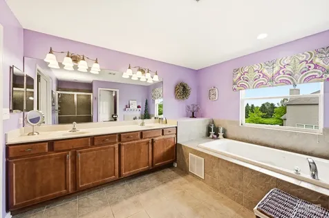 233 Willington Way Oswego IL 60543