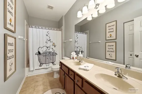 233 Willington Way Oswego IL 60543