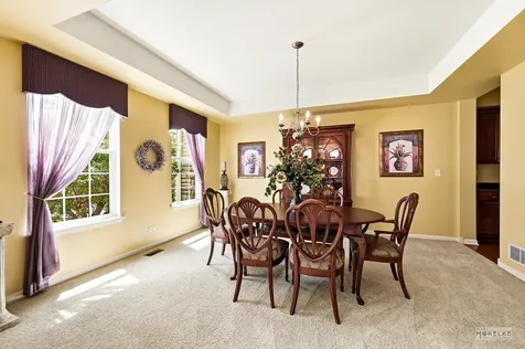 233 Willington Way Oswego IL 60543