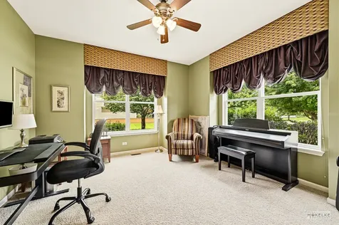 233 Willington Way Oswego IL 60543