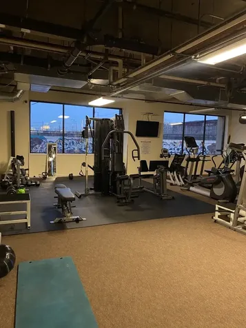 1550 South Blue Island Avenue Chicago IL 60608