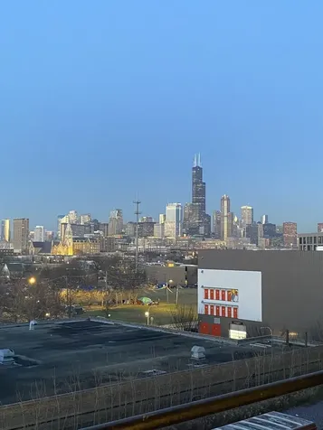 1550 South Blue Island Avenue Chicago IL 60608
