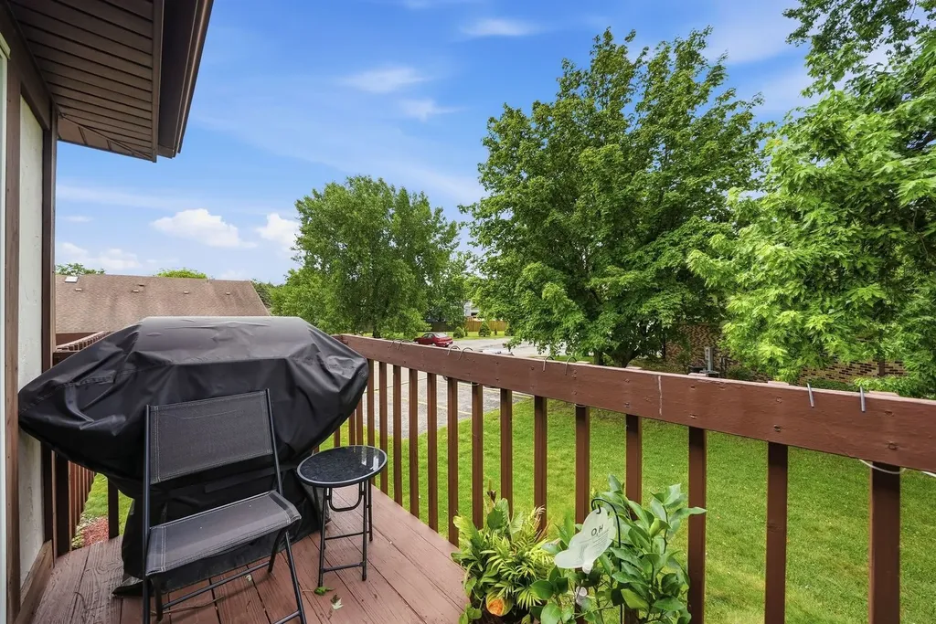 605 Crescenzo Court New Lenox IL 60451