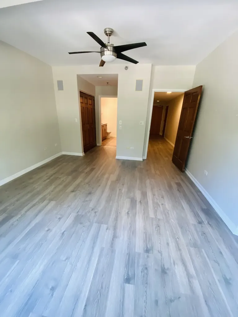 1250 South Indiana Avenue Chicago IL 60605
