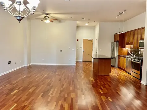 1250 South Indiana Avenue Chicago IL 60605