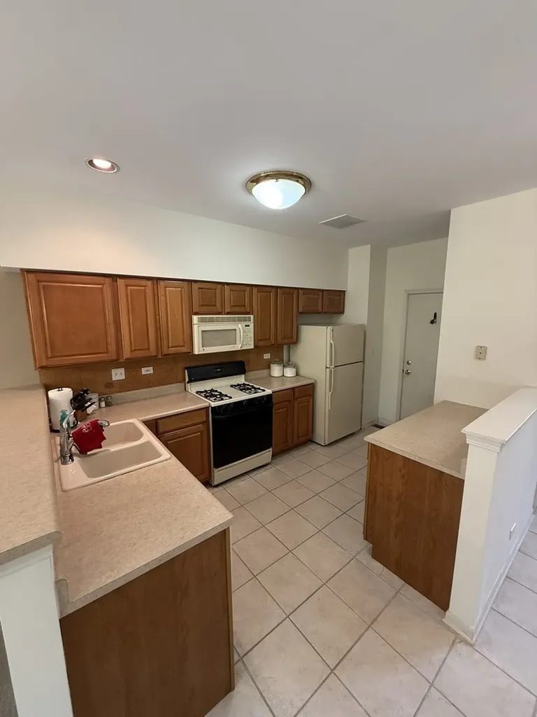 1045 Woodview Court Aurora IL 60502