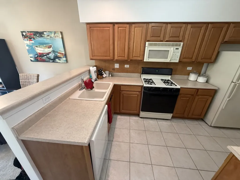 1045 Woodview Court Aurora IL 60502