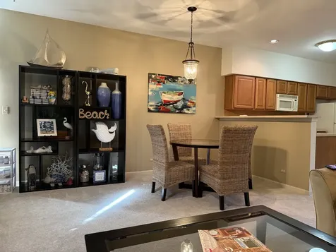 1045 Woodview Court Aurora IL 60502
