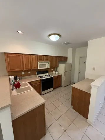1045 Woodview Court Aurora IL 60502