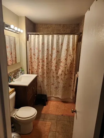 604 Mason Avenue Joliet IL 60435