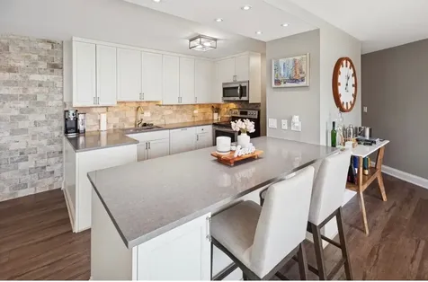 505 North Lake Shore Drive Chicago IL 60611