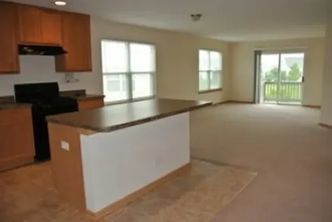 1303 Waverly Drive Volo IL 60020