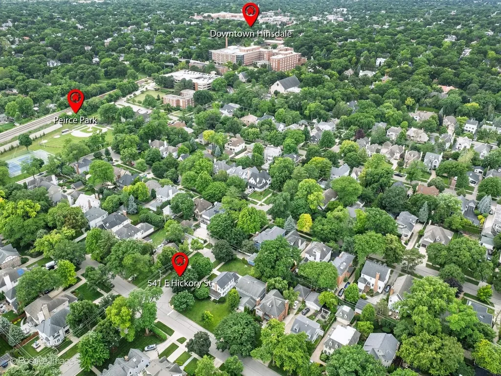 541 East Hickory Street Hinsdale IL 60521