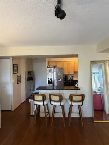 1309 North Wells Street Chicago IL 60610