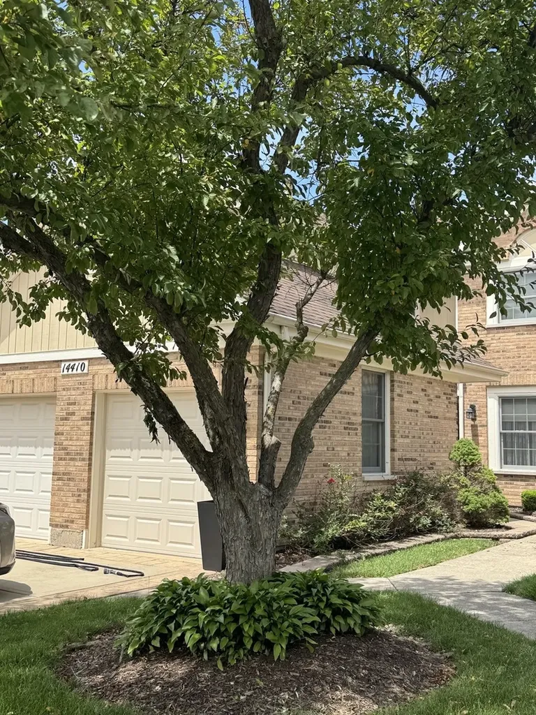 14410 Crystal Tree Drive Orland Park IL 60462