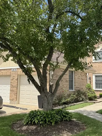 14410 Crystal Tree Drive Orland Park IL 60462