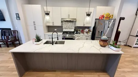 2921 South Farrell Street Chicago IL 60608
