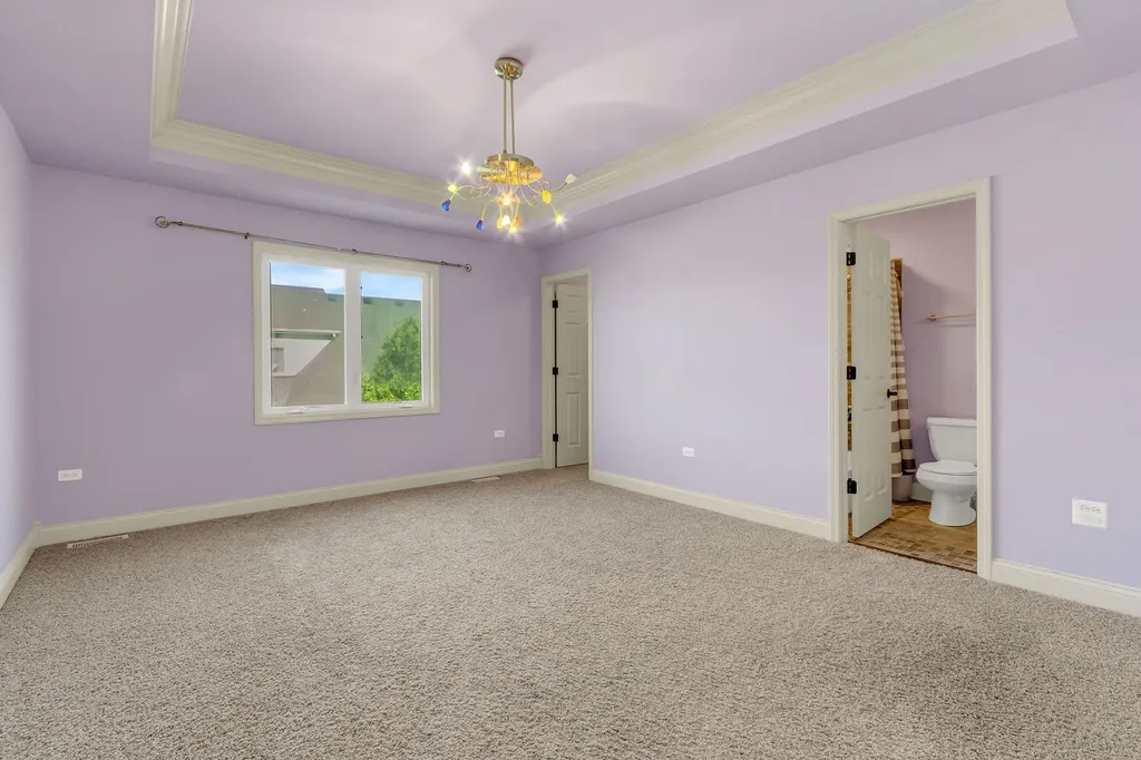 1948 Saddle Farm Lane Naperville IL 60564