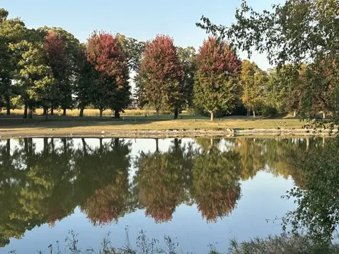 4053 Honeymoon Ridge Lake In The Hills IL 60156
