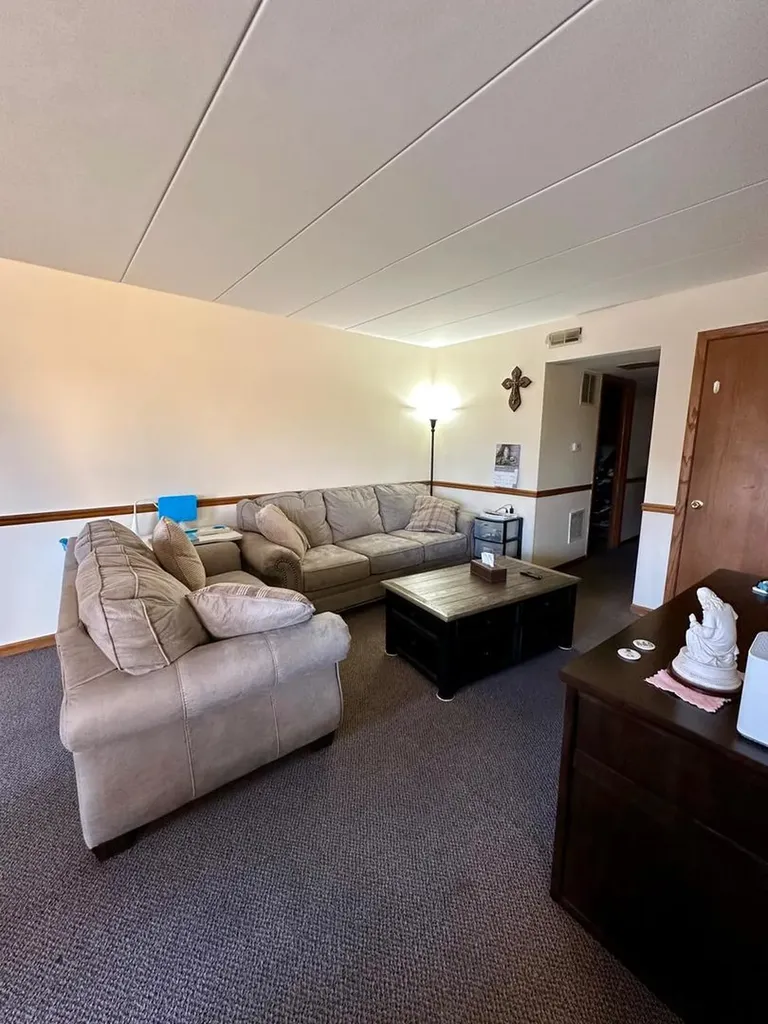 7304 Evergreen Drive Orland Park IL 60462