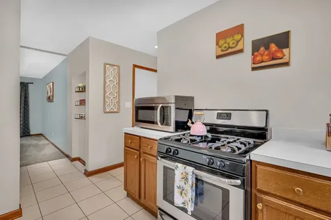12016 Arlene Drive Homer Glen IL 60491