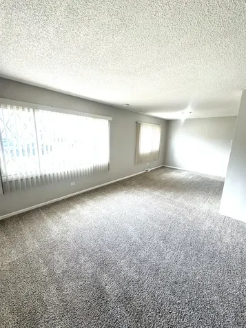 283 Luella Avenue Calumet City IL 60409